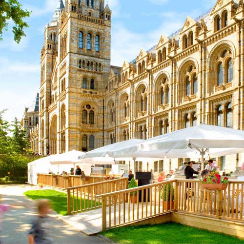 Natural History Museum - Deck Installation
