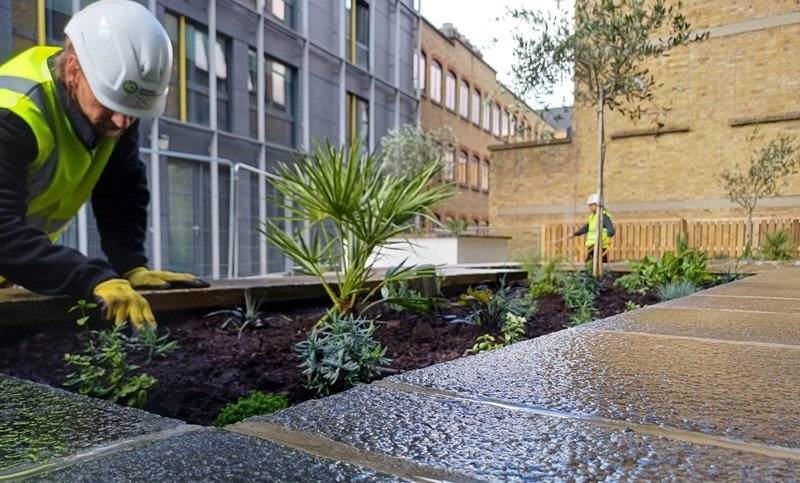 Commercial garden maintenance